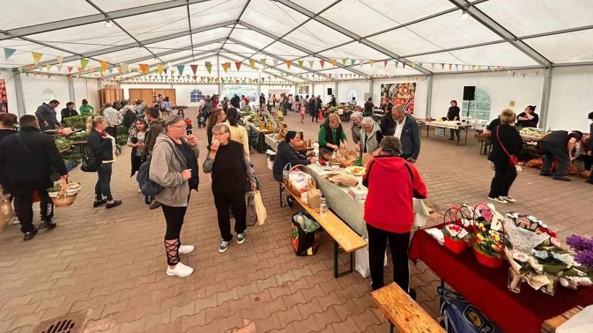 „Itt nincs és nem is lesz banán!”