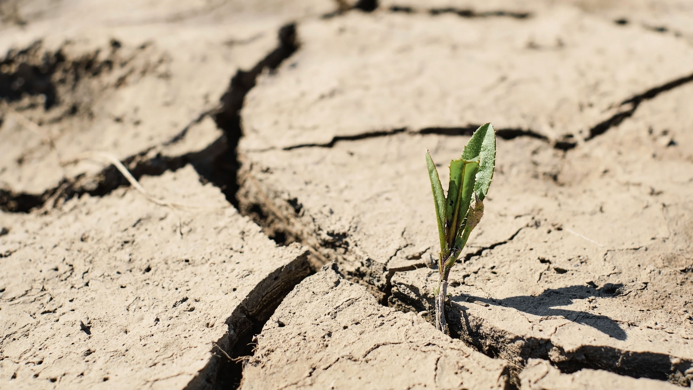 Vízügyi munkálatokkal előznék meg az aszálykárokat