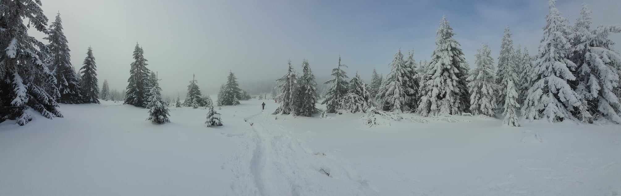 Felerősödik a szél, a hegyekben hóviharokra kell készülni