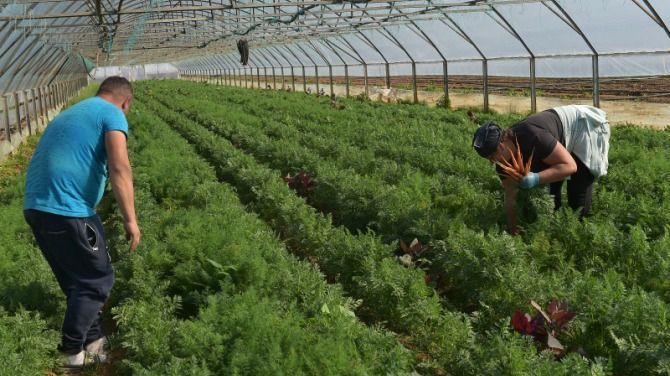 Az APIA 651.342 ezer gazdának utalta át mezőgazdasági támogatásokat a 2024-es évre az utóbbi másfél hónap alatt