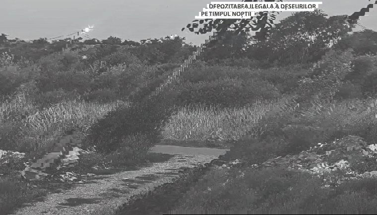 Nőtt az illegális hulladéklerakatok száma