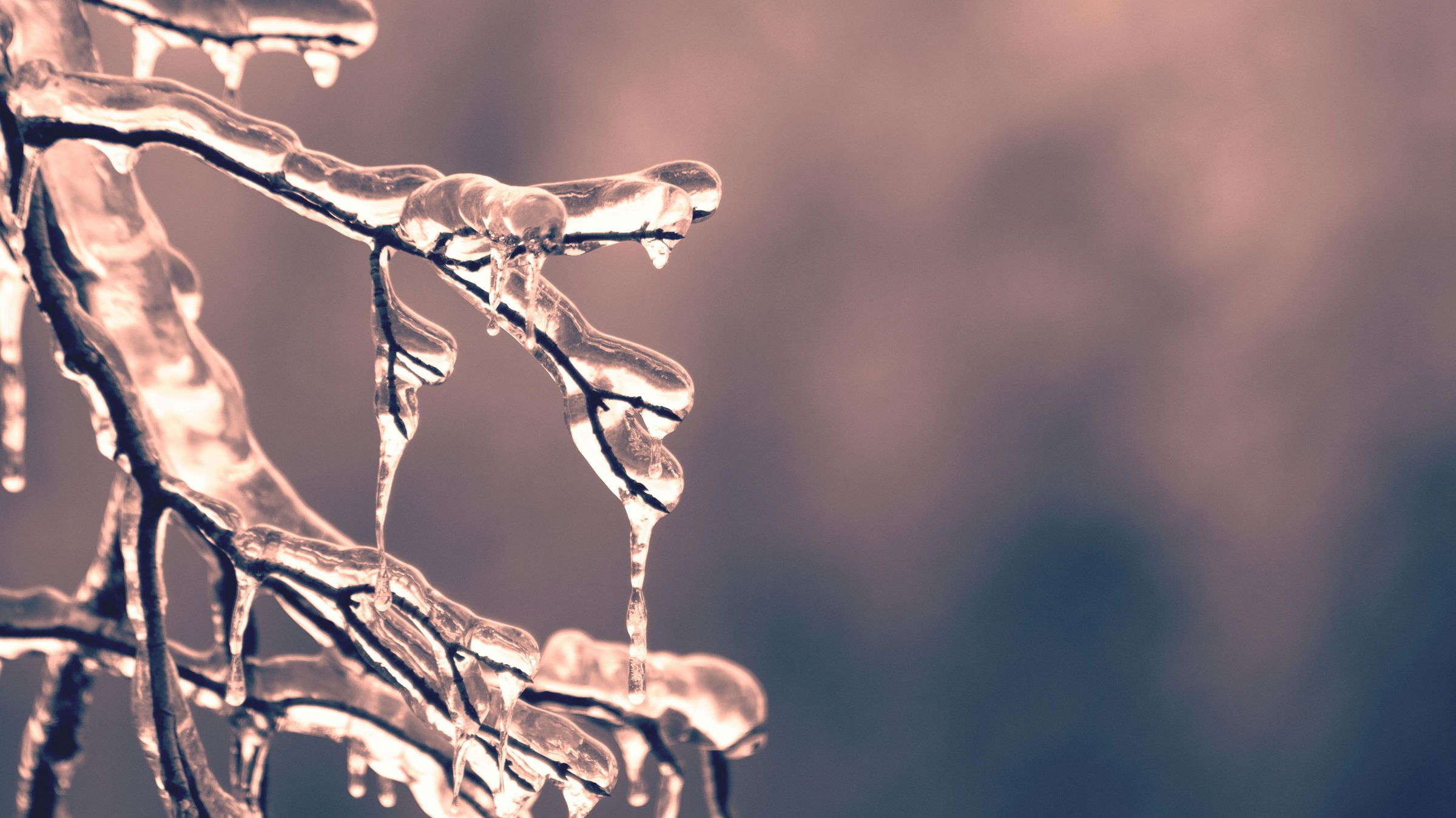 Fagyra figyelmeztető sárga jelzésű riasztást adtak ki a meteorológusok