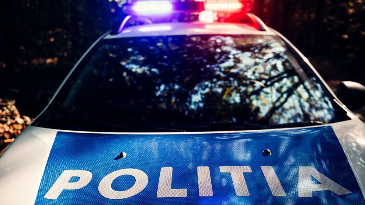 Kutyatámadás miatt nyomoz a rendőrség