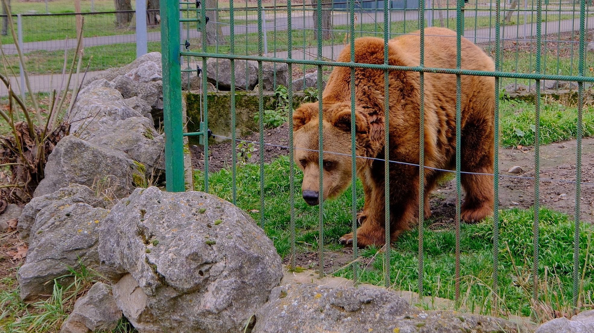 Ma kiderült meddig tart még a tél