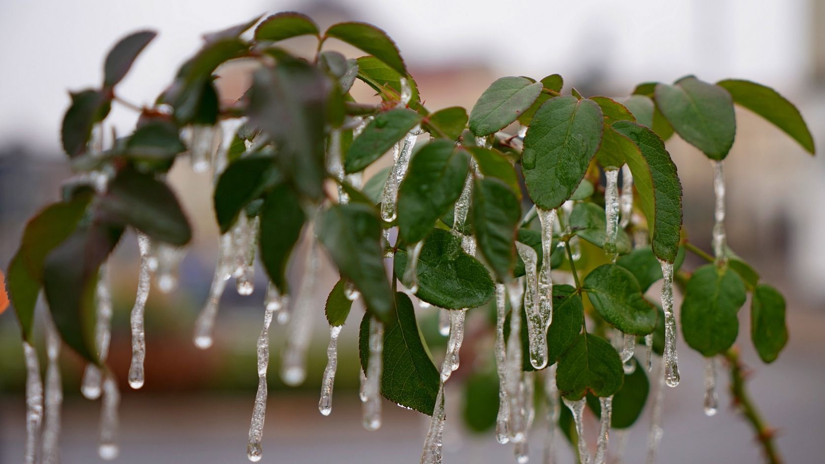 Lehűlés, havazás és szél várható vasárnaptól országszerte