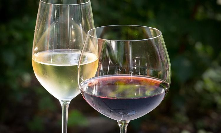 A XX. Sebes-Körös menti Borversenyt rendezik meg Élesden