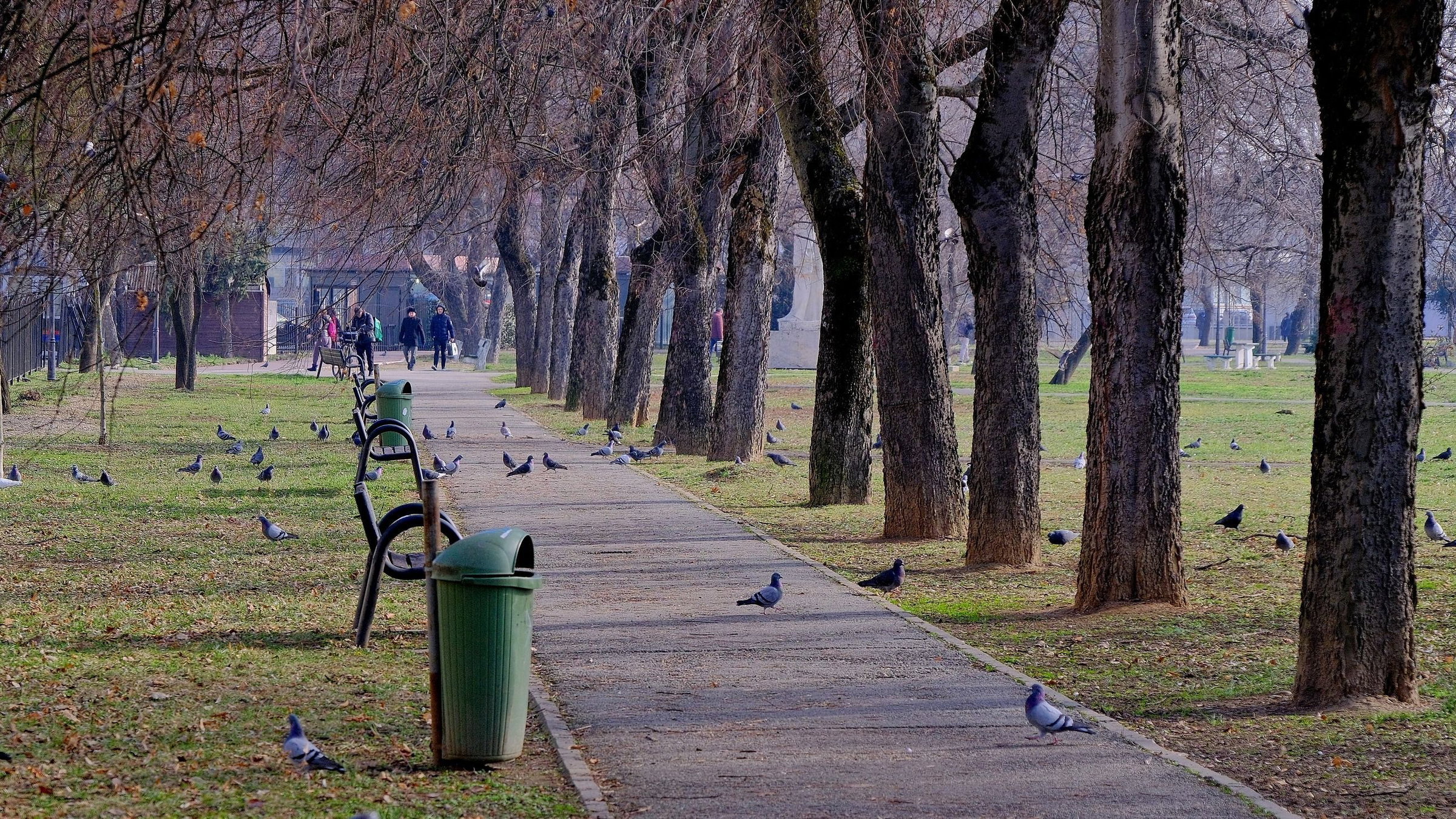 Megújulnak Nagyvárad parkjai