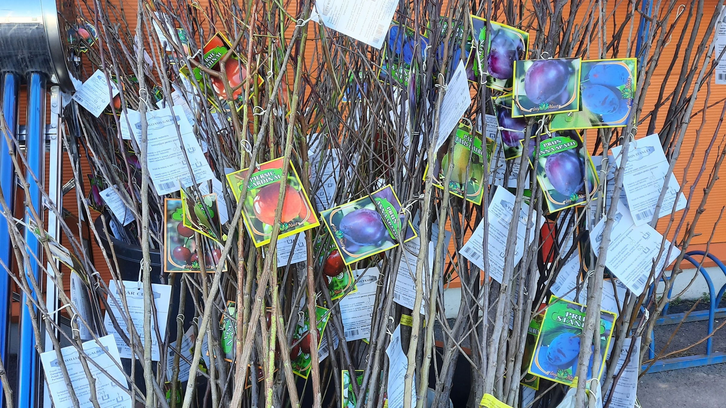 „Ültess fát! Hogyha mást nem, lombot ád”