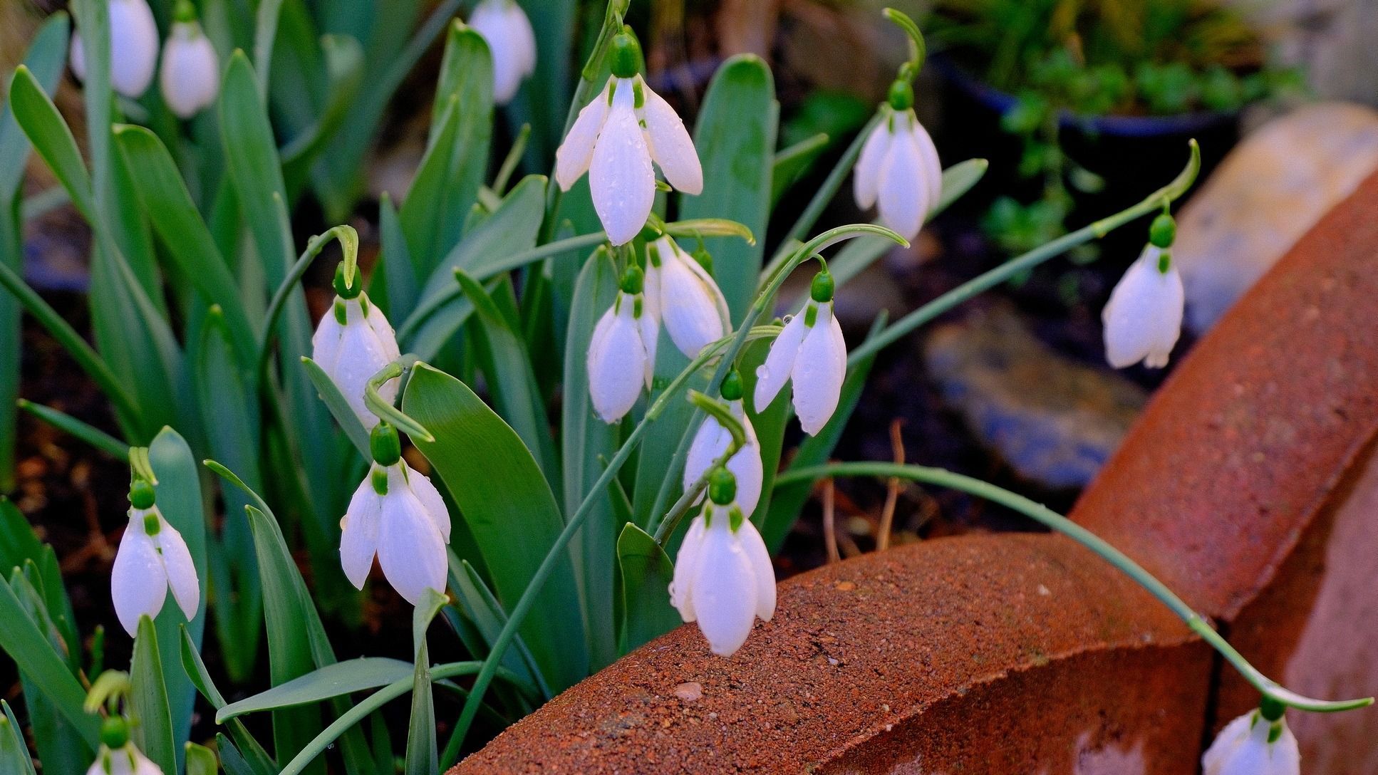 A következő két hétben csökkenő hőmérsékleti értékek jellemzik az időjárást