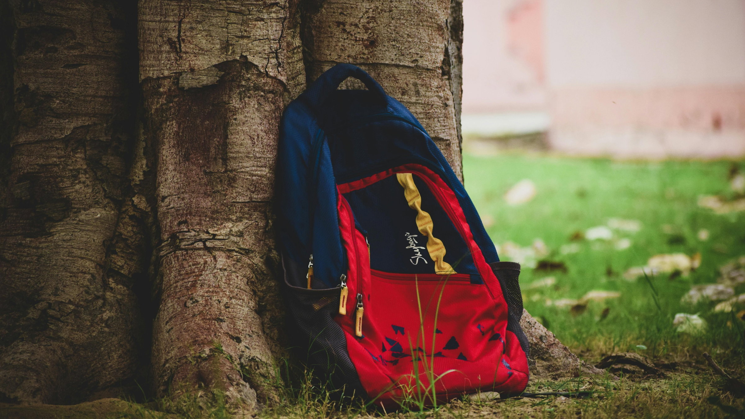 Rablási kísérlet miatt helyeztek előzetesbe három fiatalt