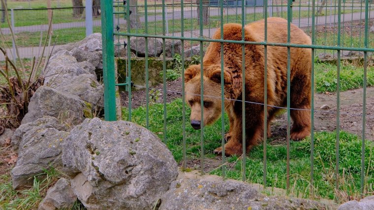 Ma kiderült meddig tart még a tél
