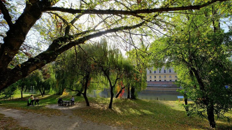 Készül a váradi fa-mesterterv