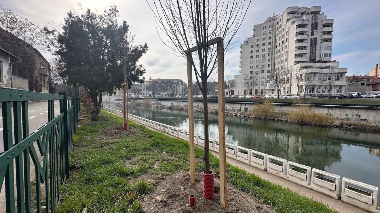 Befejeződik a faültetési kampány Váradon