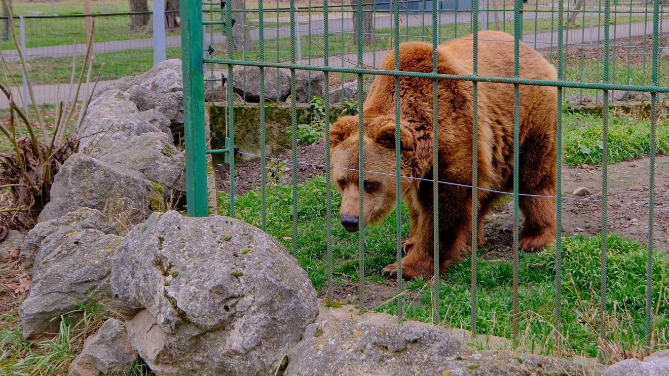 Ma kiderült meddig tart még a tél