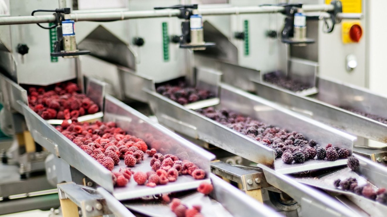 Jelentős mezőgazdasági beruházások Bihar megyében