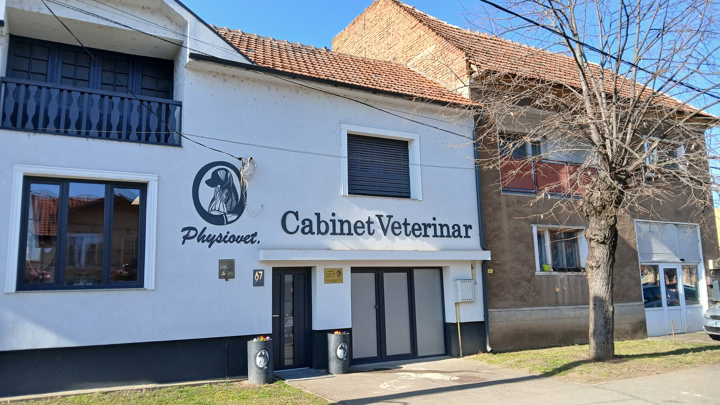 Kezdődik a kutyák ivartalanítási programja