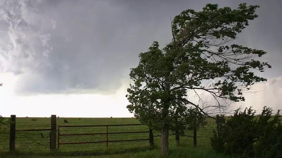 Heves szélre figyelmeztetnek a meteorológusok