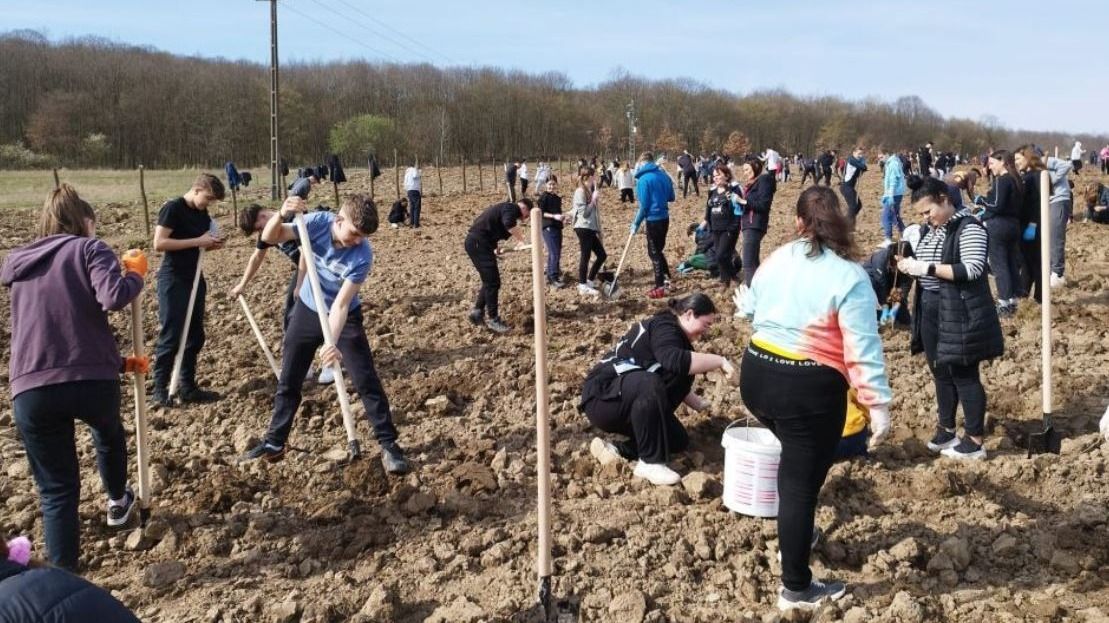 Elkezdődött a faültetés hónapja