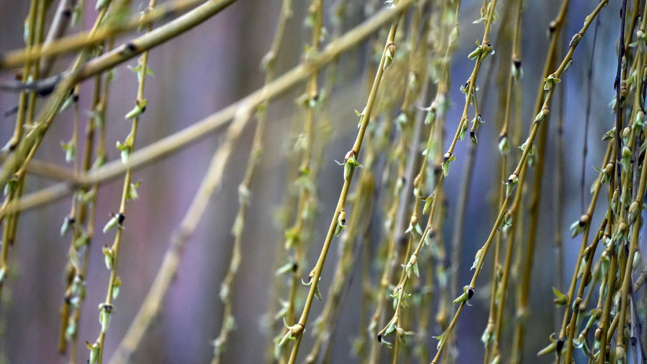 Országszerte rendkívül meleg lesz ezen a héten