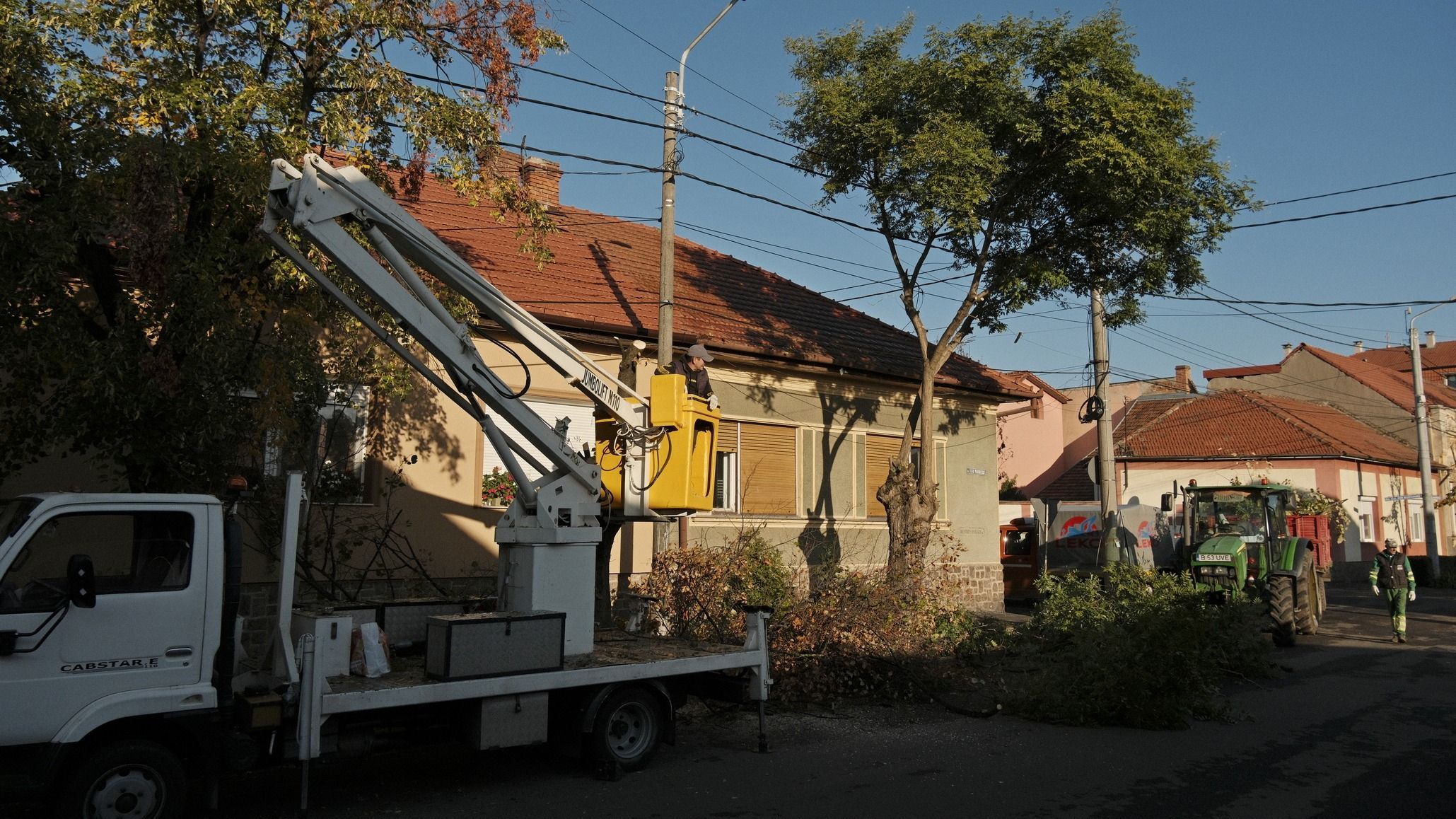Fákat metszenek és vágnak ki a Pável utcán