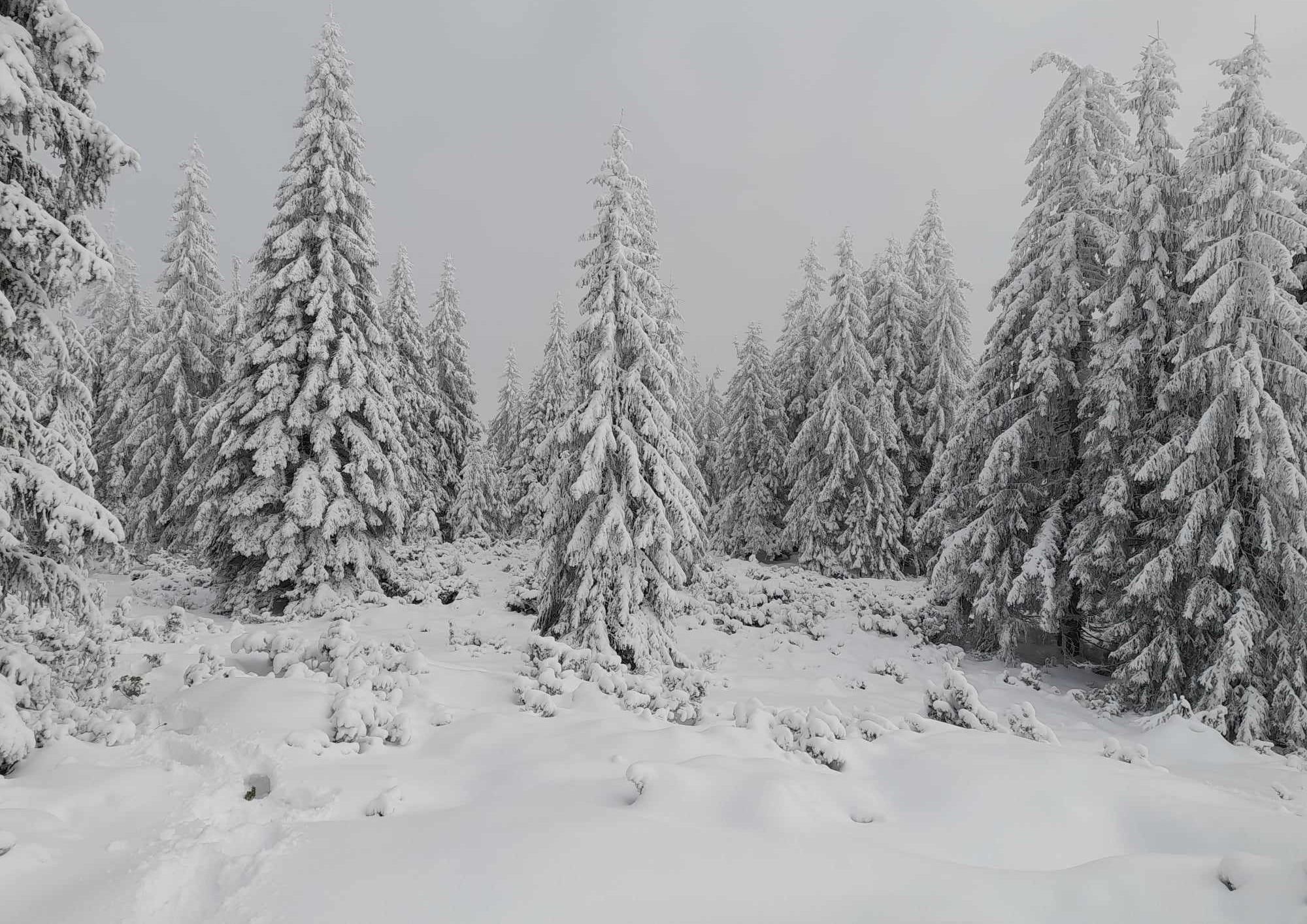 A hegyekben hóviharok várhatók, Erdély déli és keleti térségeiben pedig havazni is fog