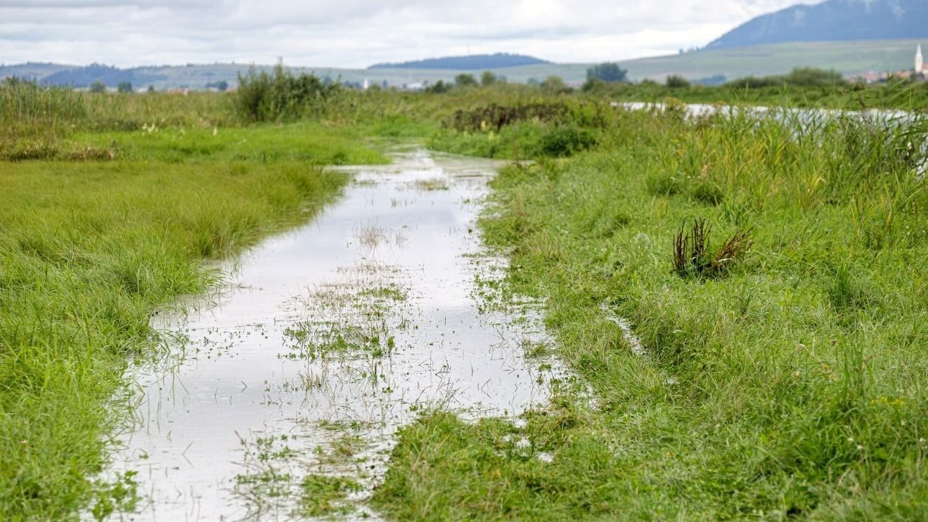 Elsőfokú árvízvédelmi készültséget rendeltek el a hidrológusok több folyó vízgyűjtő területén