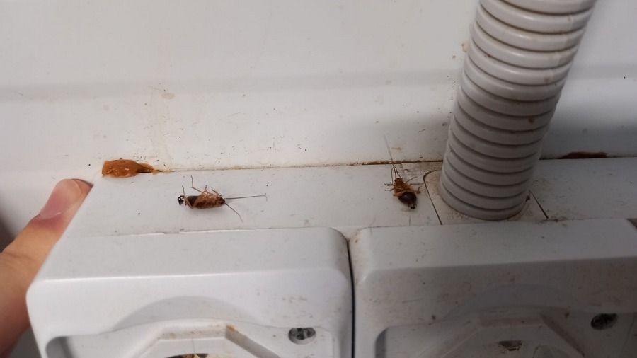 Megbírságoltak egy váradi éttermet