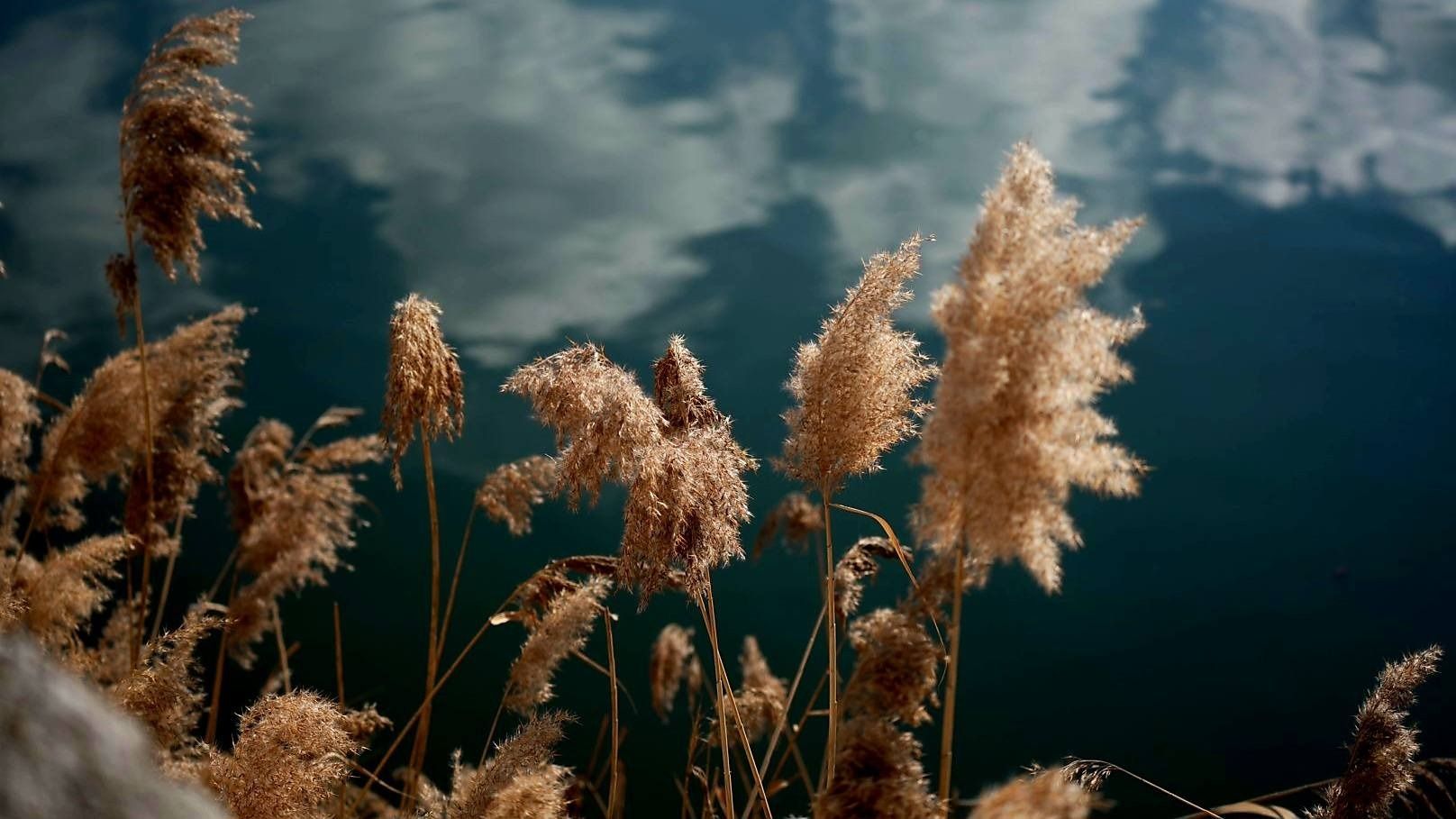 Felerősödik a szél 13 megyében, nyugaton és északon záporok, zivatarok várhatók