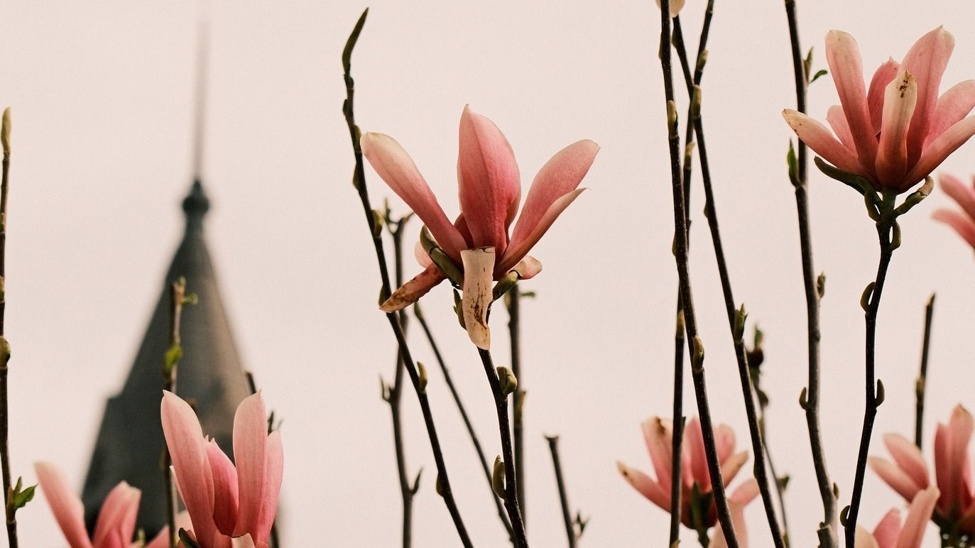 Hétvégén hirtelen lehűlés következik be, jövő héten ismét felmelegedik az idő