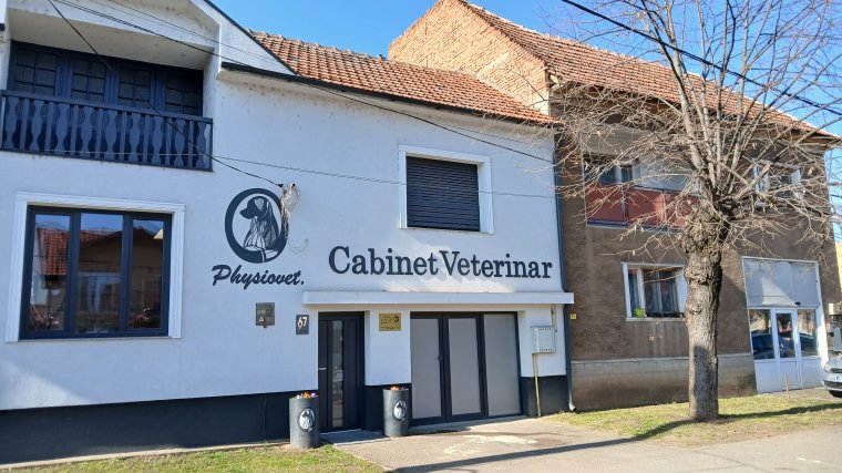 Kezdődik a kutyák ivartalanítási programja