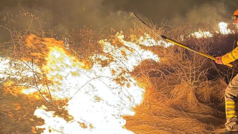 Több mint hatvan tarlótűzhöz riasztották a tűzoltókat Bihar megyében