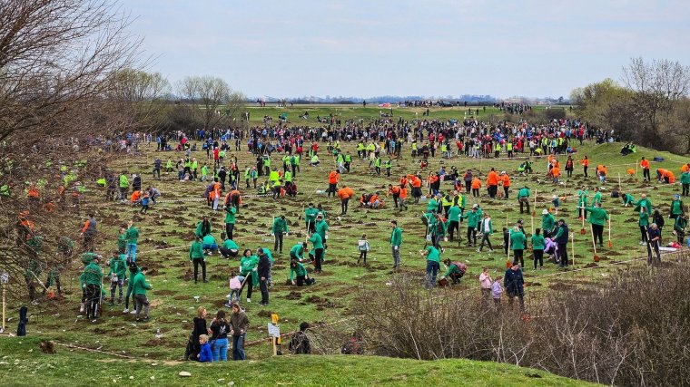 Önkéntes faültetés Körösgyéres mellett