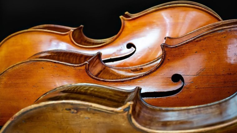 Koncert a filharmóniában