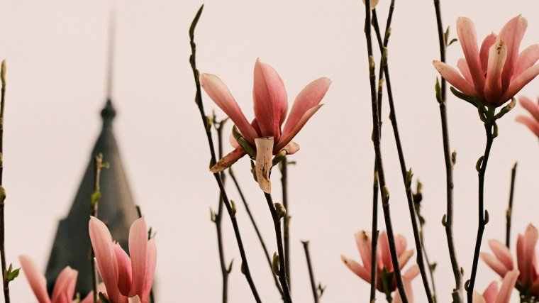 Hétvégén hirtelen lehűlés következik be, jövő héten ismét felmelegedik az idő