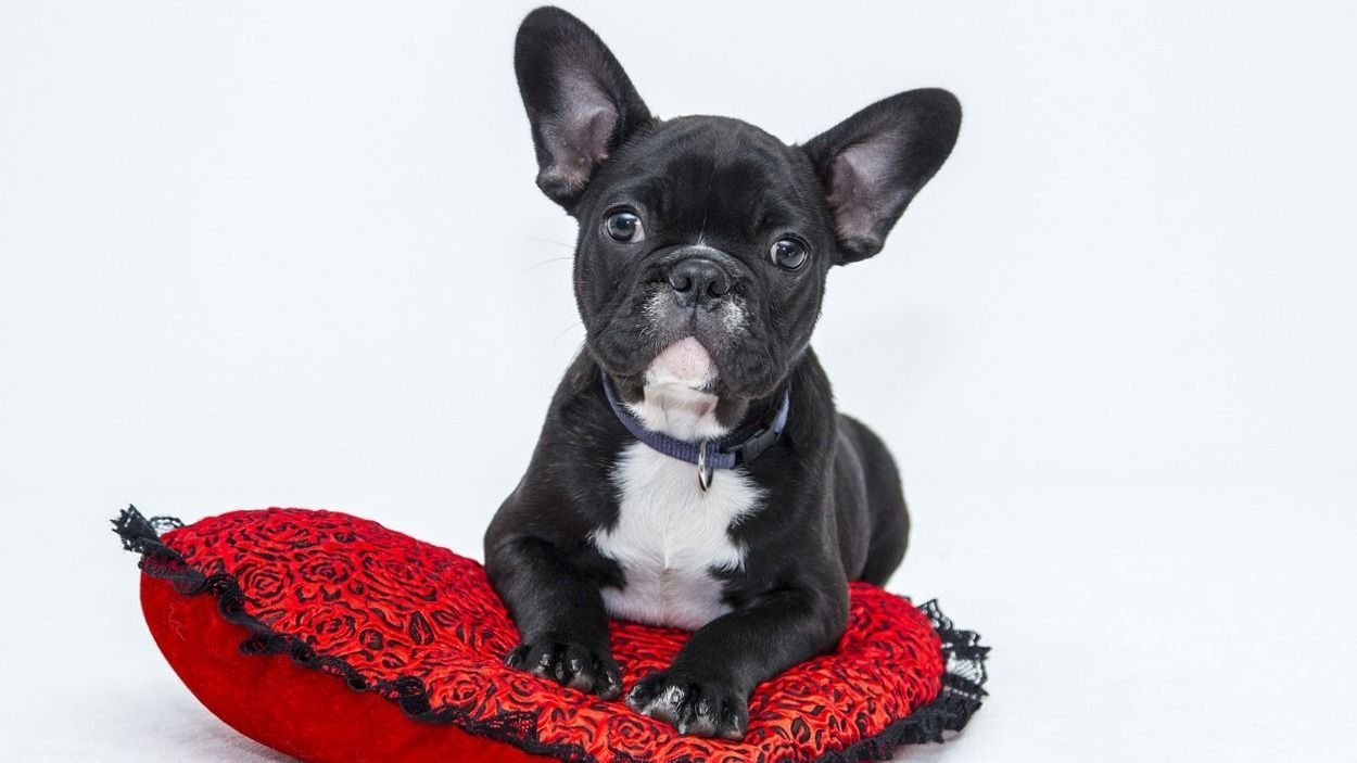 Légy résen! Új módszerrel próbálkoznak a telefonos csalók