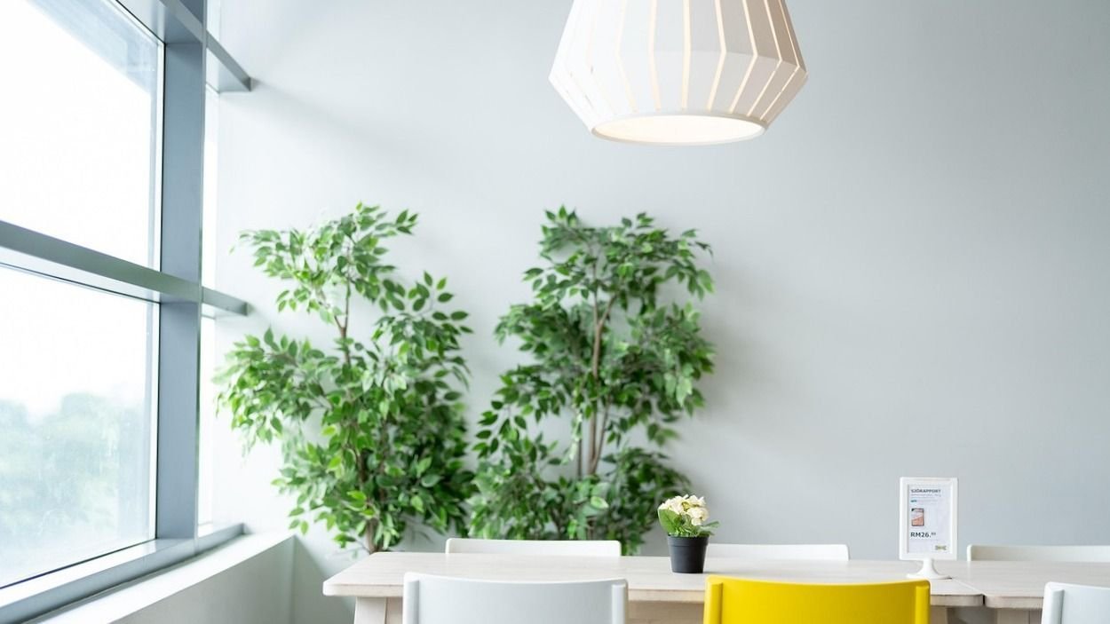 Így érheti el a megfelelő páratartalmat otthonában