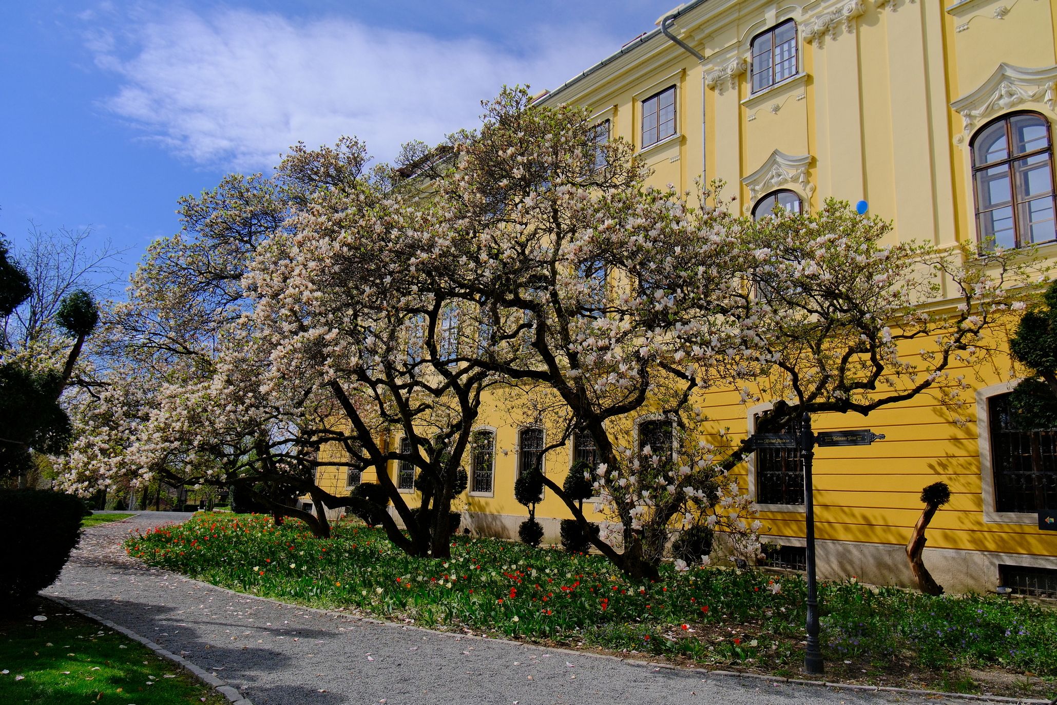 Virágzás a palota kertjében