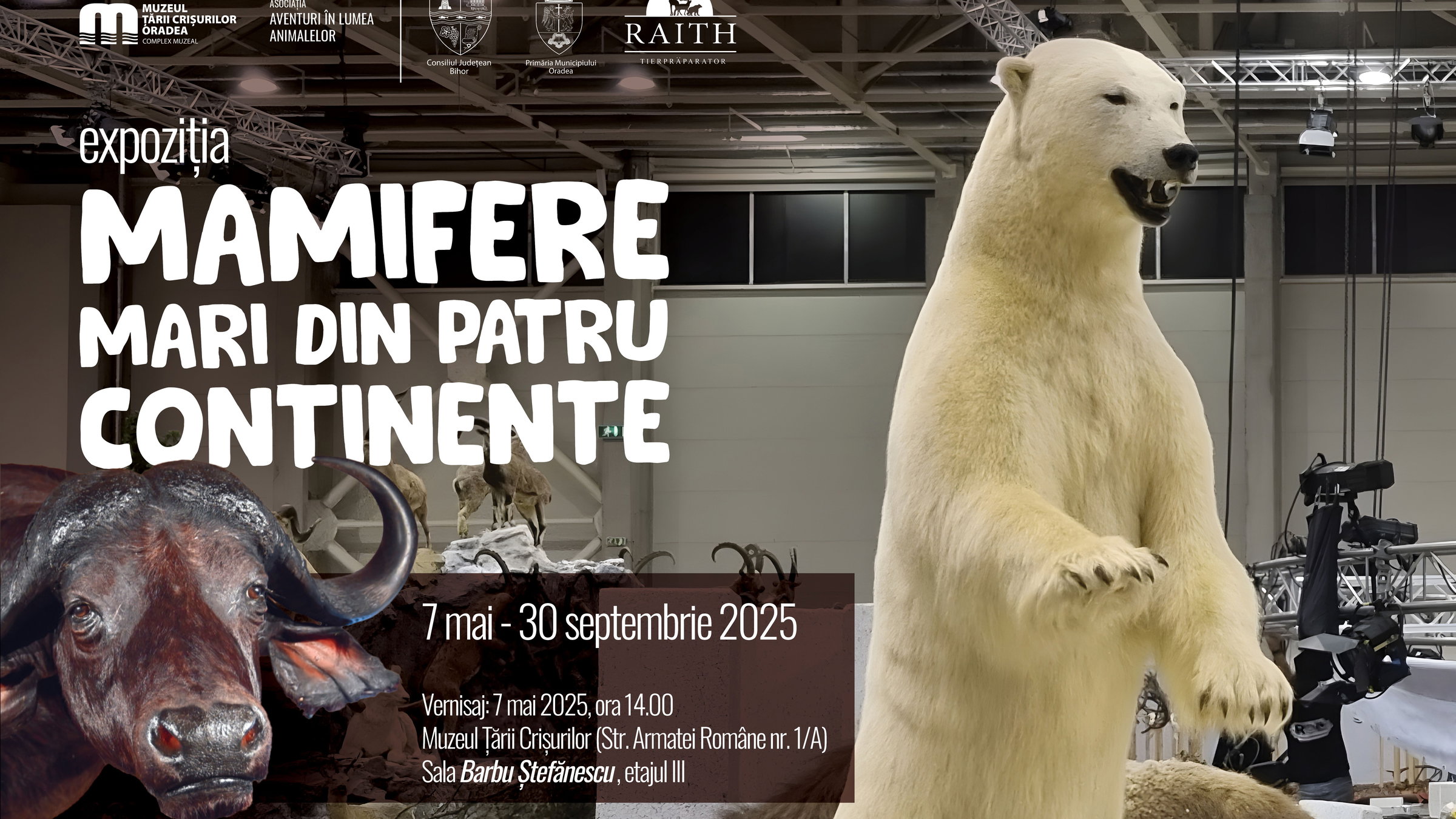 Állatpreparátumok a múzeumban