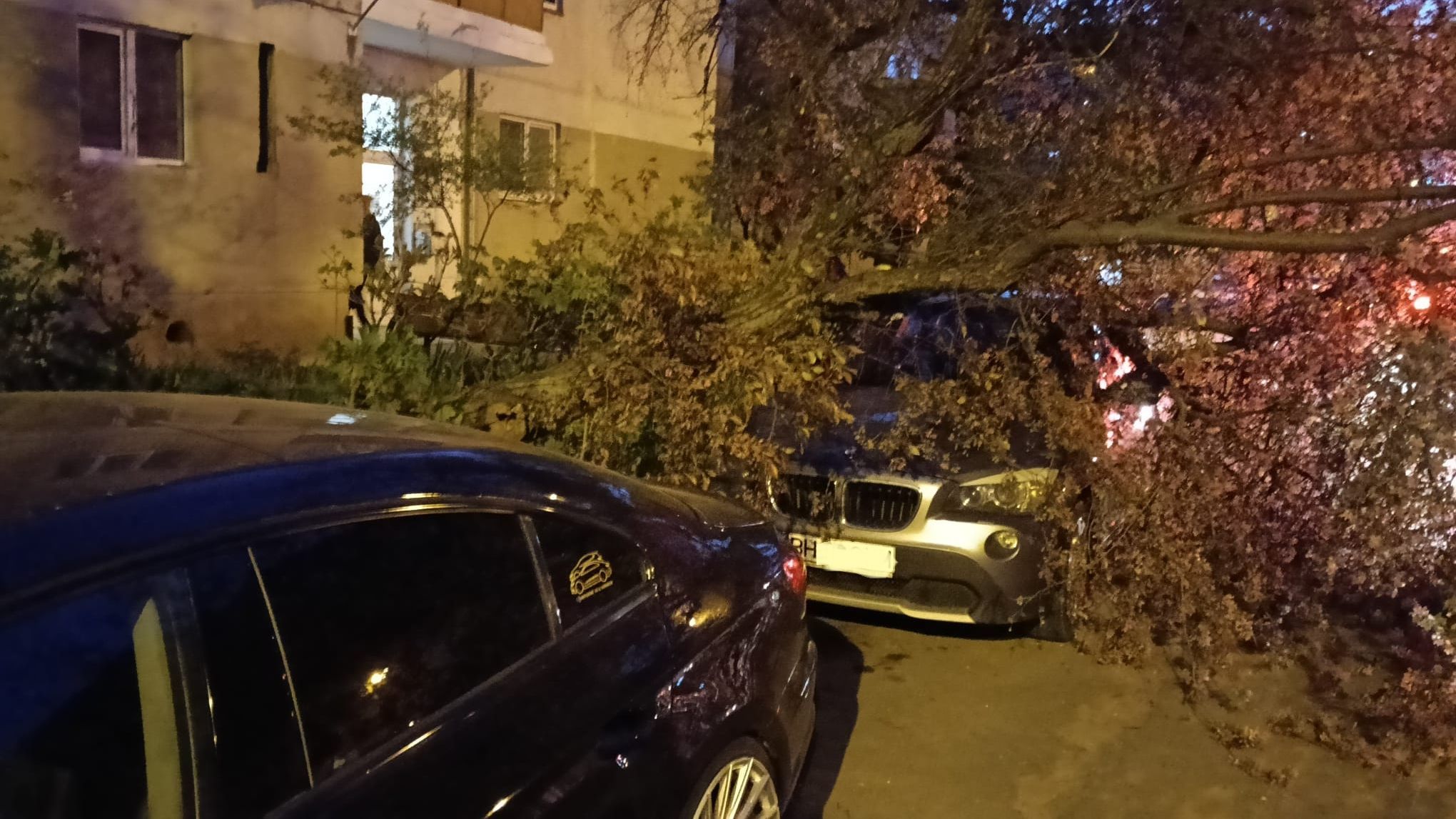 Komoly károkat okozott a csütörtöki szélvihar, a rossz idő továbbra is kitart