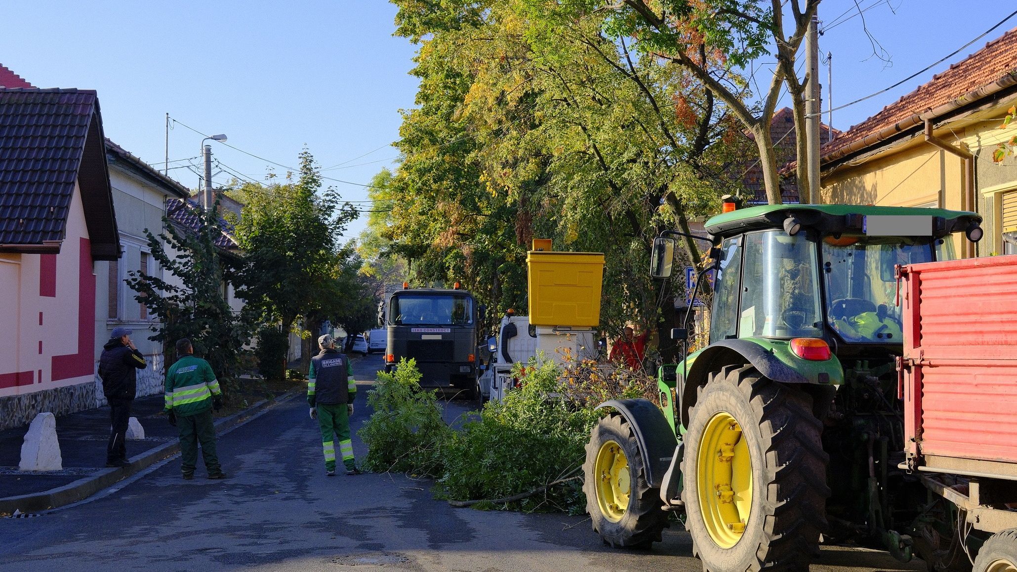 Folytatódik a fák metszése és kivágása Nagyváradon