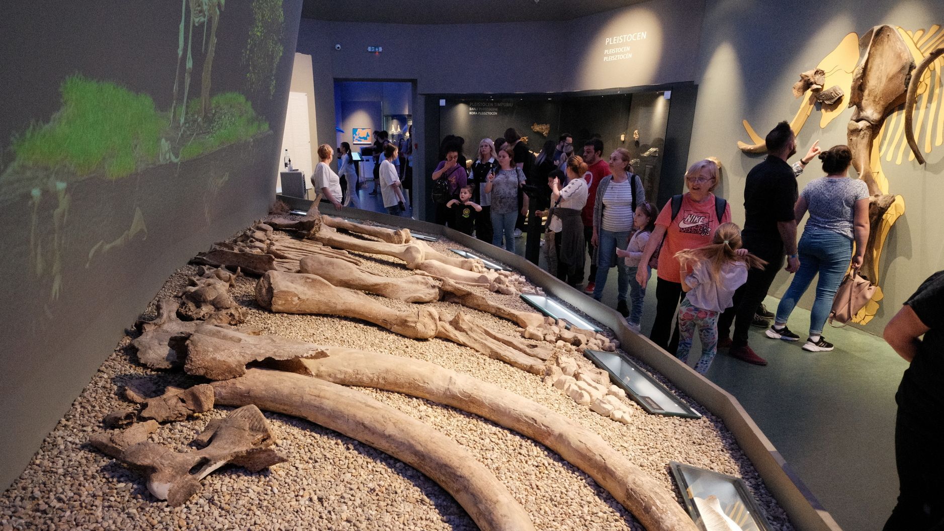 Múzeumok Éjszakája: önkéntesek jelentkezését várják
