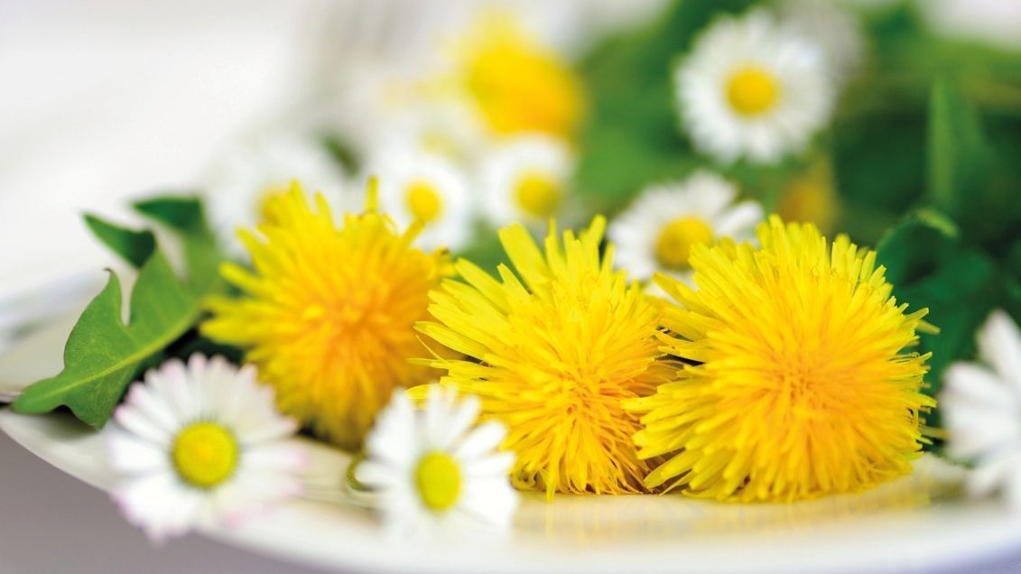 A gyógynövényekről a múzeumban