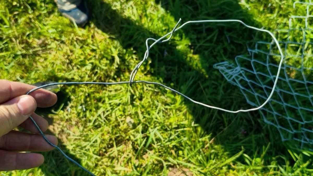 Állatgyilkosság gyanújával vettek őrizetbe egy férfit