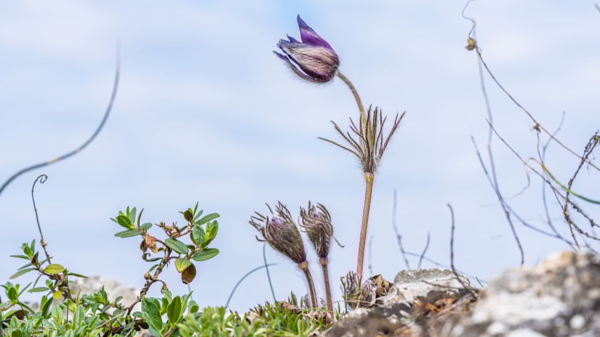 Gyalogtúra a Révi-szorosban