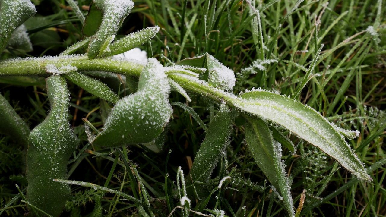 Lehűlésre, szélre figyelmeztetnek a meteorológusok