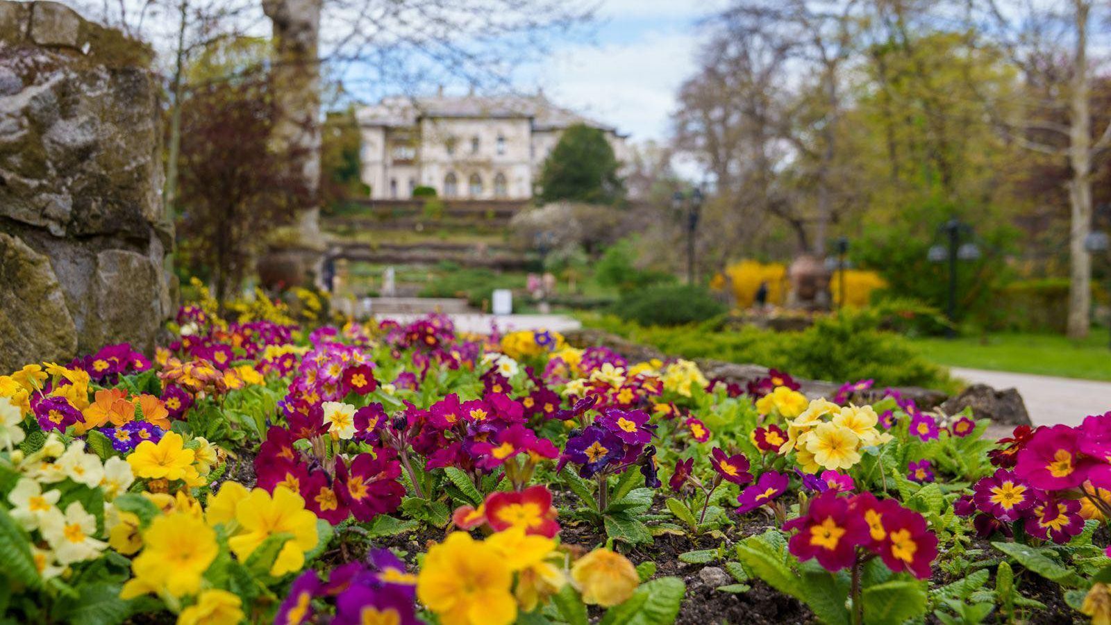 Virágvasárnap alkalmából fogalmaztak meg üzenetet az ország vezetői