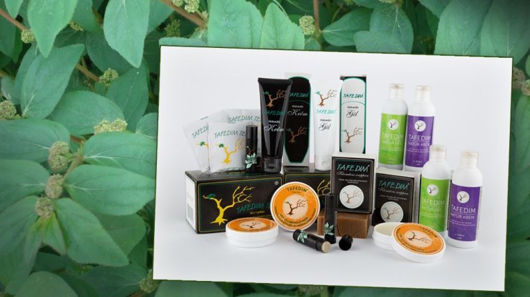 Már Romániában is elérhető az afrikai csodanövényből készült termékcsalád