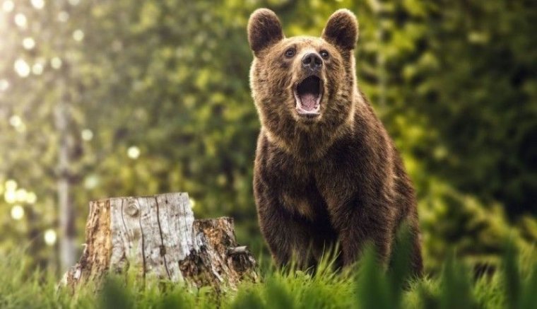 Tánczos: Remélem, hogy a környezetvédelmi minisztérium végre meghozza a szükséges intézkedéseket