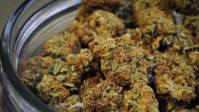 Hét kilogramm kannabisz eladásakor értek tetten egy 30 éves férfit