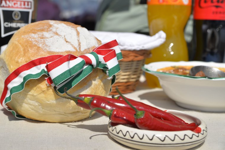 A nagy fogás- horgászverseny és családi nap